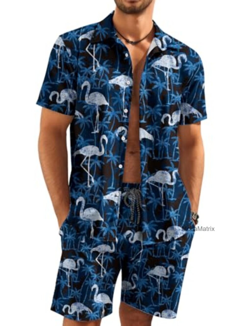 Men's Hawaiian Shirt and Short Set, Button Down Summer Vacation Outfit